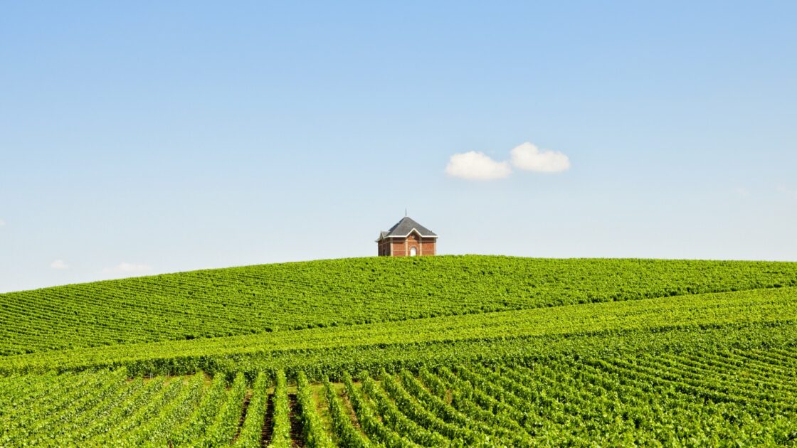 Moët & Chandon – Cuverie Mont Aigu